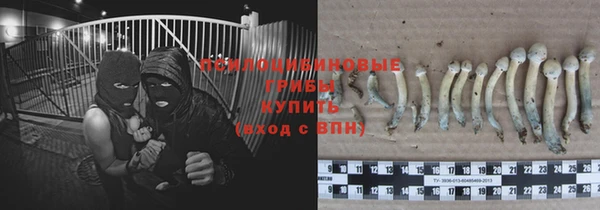 сатива Остров