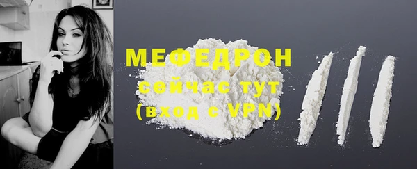 МДПВ Нея