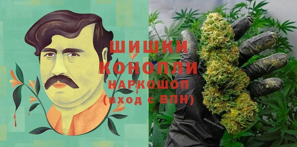 гидра Осинники