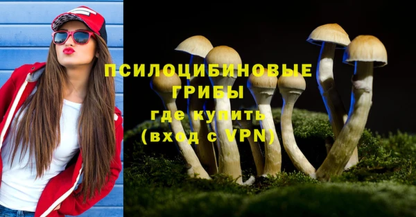 гидра Осинники