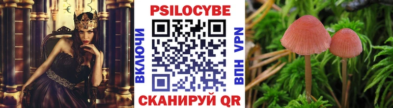 Псилоцибиновые грибы мухоморы  Купить закладки  Северо-Курильск 